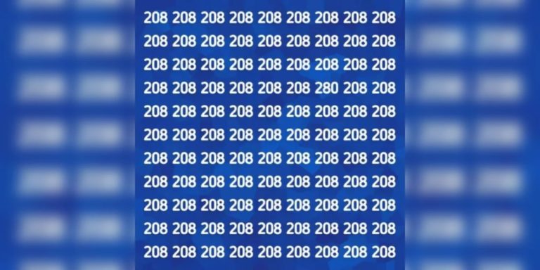 Reto visual para detallistas: encontrá el número 280 “infiltrado” entre los 208
