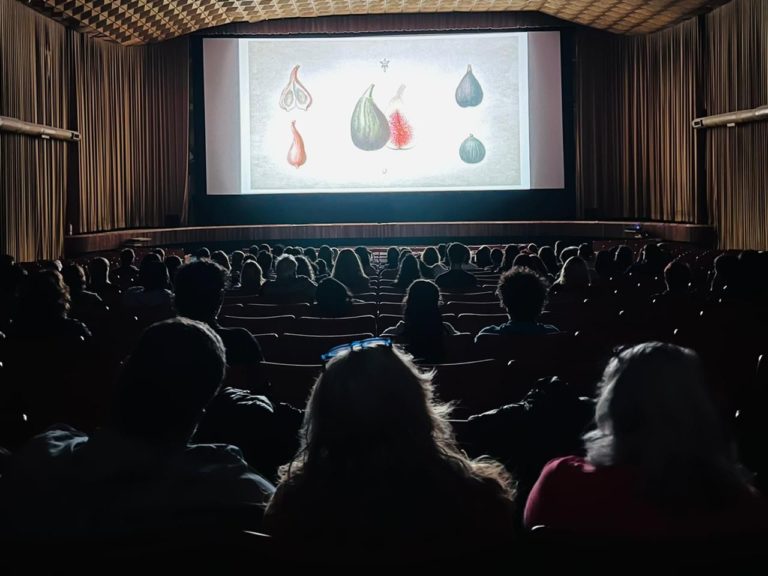 Un festival bien pampeano quedó reflejado en la sexta jornada del Festival de Cine y hoy se será el cierre