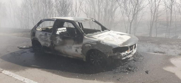 IMPORTANTE INCENDIO DE PASTIZALES EN CERCANÍAS DE RUTA 9 Y RUTA 188: Un auto que circulaba por la zona quedó completamente destruido por las llamas