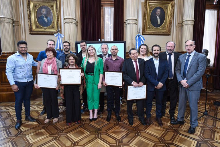 El Senado distinguió a artistas de La Pampa
