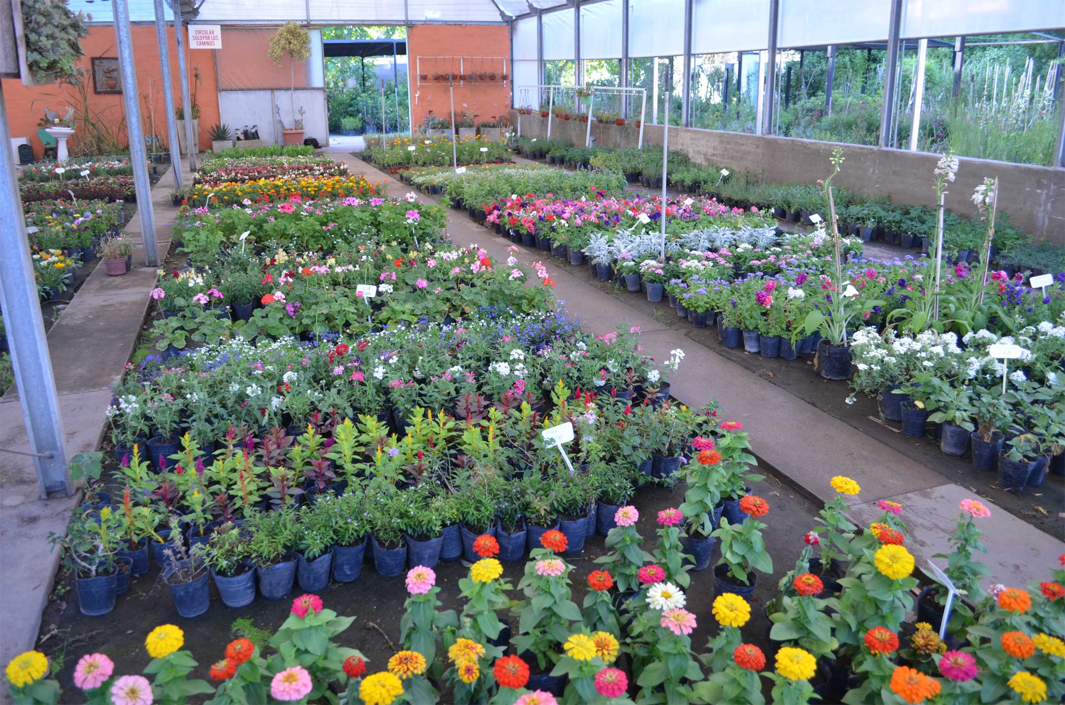 La Facultad de Agronomía UNLPam dictará un taller gratuito sobre jardinería de primavera-verano