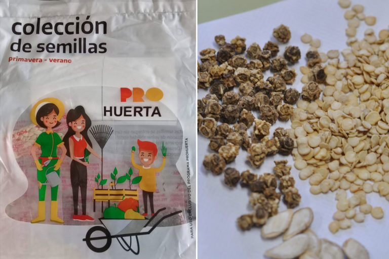 Comienza en General Pico y otras localidades la entrega de semillas gratuitas del programa ProHuerta temporada primavera-verano