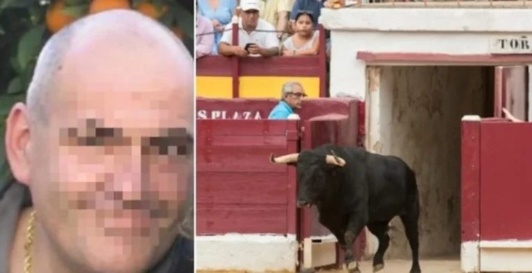 Horror en España: un toro “se hizo el muerto” y mató de una feroz cornada al carnicero que iba a cortarlo en trozos