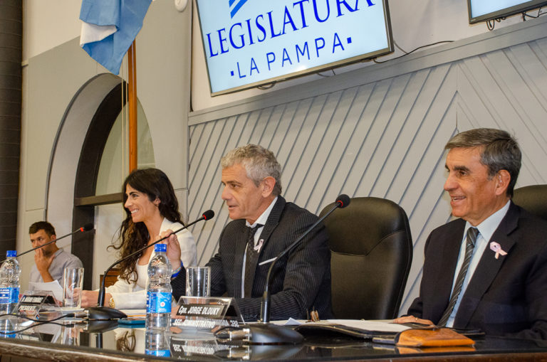 Sancionaron la ley de “perfil de ciudadanía pampeana digital”