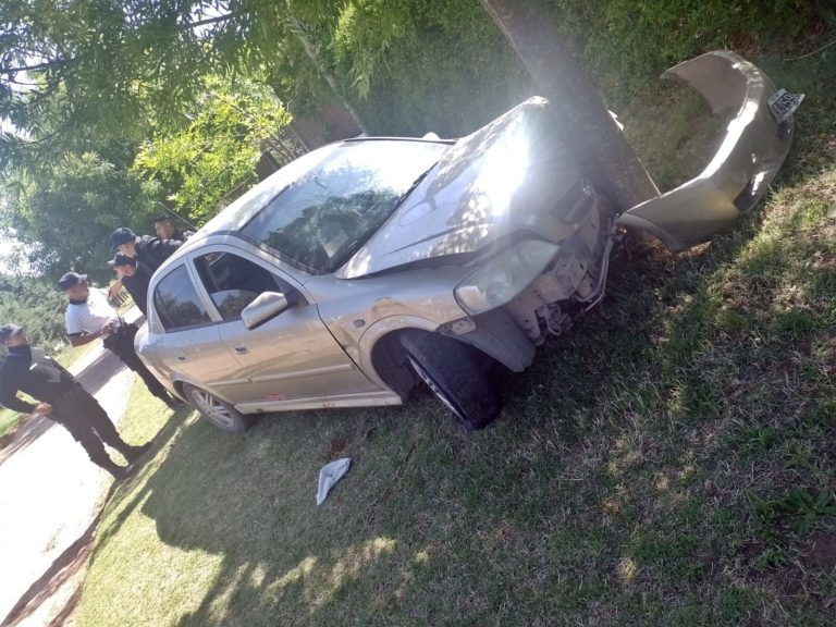 Perdió el control del vehículo y se estrelló contra una planta