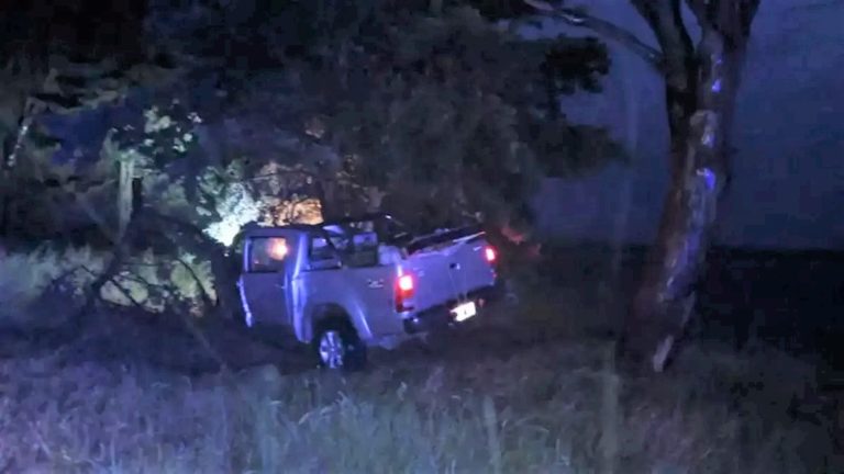 Un hombre de 71 años murió al chocar contra un árbol cerca de Monte Hermoso
