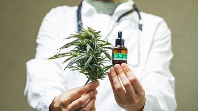 Mañana comienza la jornada abierta de cannabis medicinal y cáñamo industrial