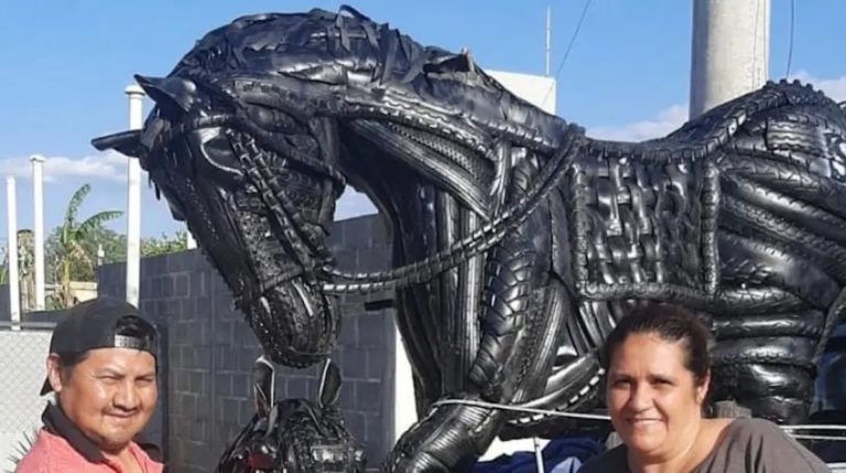Artista tucumano construyó caballo de tamaño real con cubiertas recicladas