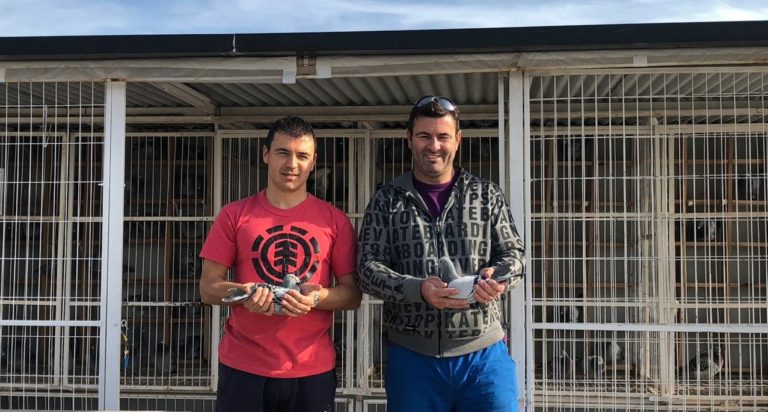 Colombofilia en General Pico: “Alas Heróicas” y “El Tornado” los flamantes campeones