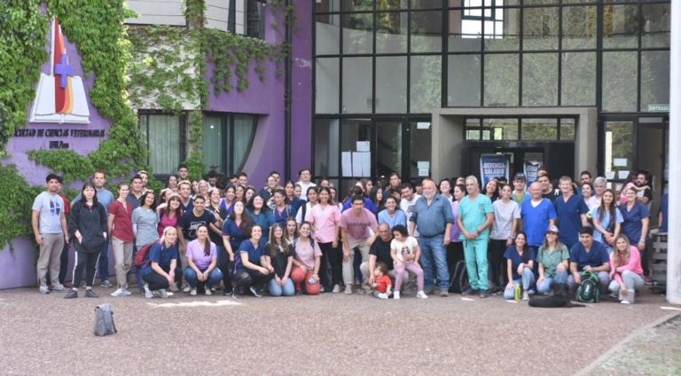 Campaña antirrábica: más de un centenar de estudiantes de veterinarias vacunaron a 1700 animales