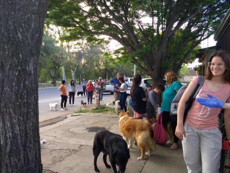 Este sábado habrá 20 puntos fijos en todo General Pico para vacunación antirrábica, libre y gratuita