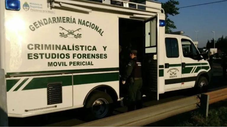 Buenos Aires: una nena de 2 años agarró el arma de su mamá policía y se disparó en el estómago