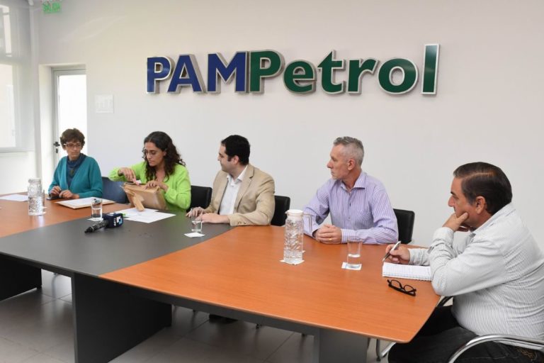 Hubo dos ofertas en la nueva licitación para “Medanito Sur”