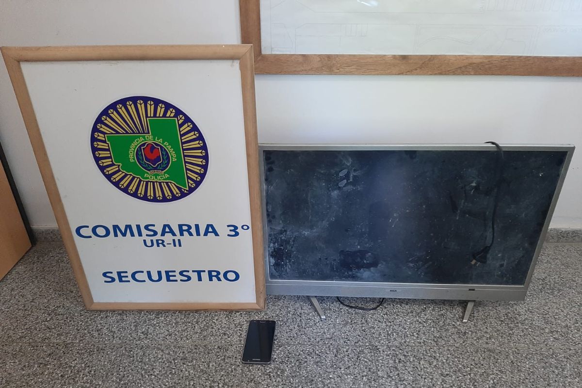 Detuvieron a delincuente que robó un televisor, un celular y otros elementos en barrio Malvinas: En los hechos estuvieron implicados 4 menores
