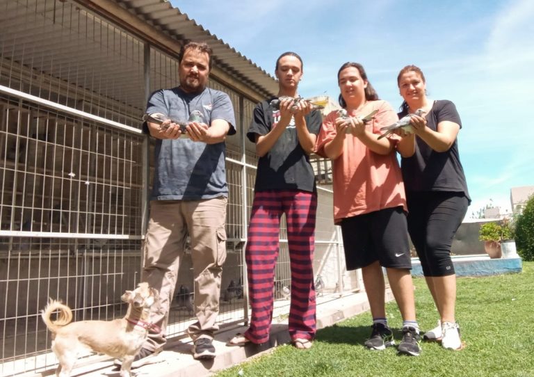 “El Chasqui” se acostumbró a la victoria