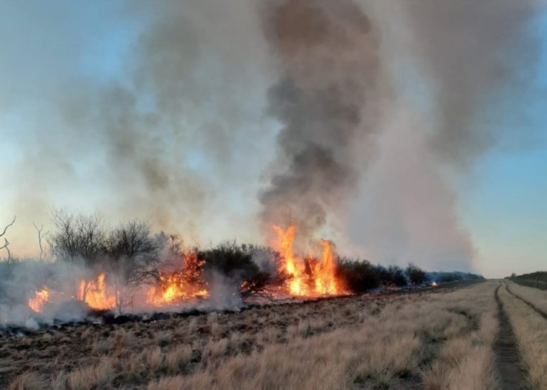 Incendios en temporada invernal afectaron 36.254 hectáreas en La Pampa