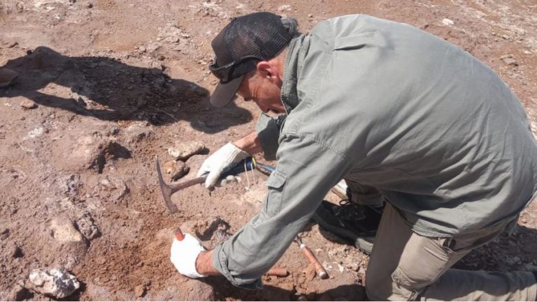 Encuentran fragmentos fósiles de animales prehistóricos en la Reserva Natural Municipal de General Acha