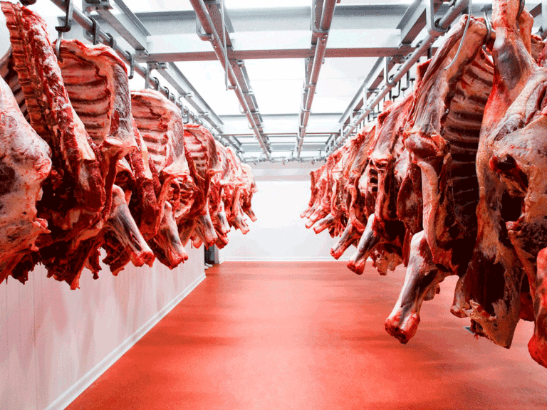 Freno judicial al ingreso de carne con hueso a una parte del sur Argentino