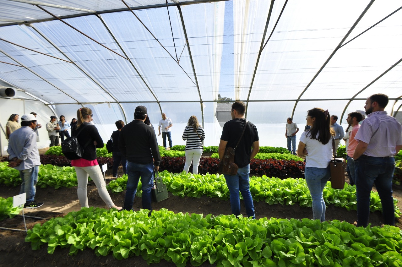 “No solo es generar conocimientos y productos de calidad, sino también generar el espacio para su comercialización”, afirmó la directora de agricultura, Natalia Ovando
