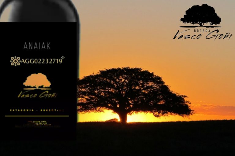 La Bodega familiar “Vasco Goñi” presenta su primer vino: ANAIAK
