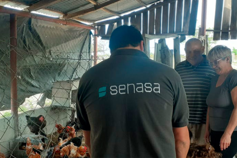 Salud confirmó el primer caso positivo de influenza aviar en La Pampa