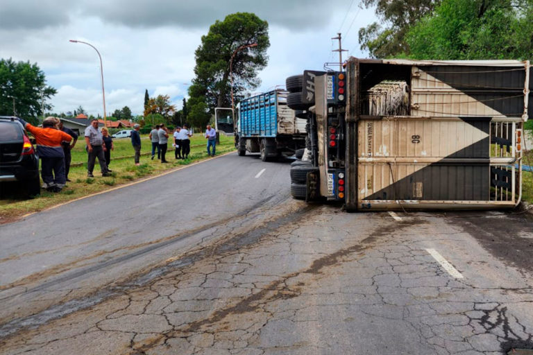 General Pico: camión ingresaba a la ruta, volcó el acoplado y murieron dos animales