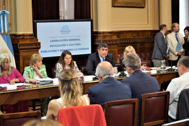 Dictamen favorable para la “Ley Lucio” en el Senado de la Nación
