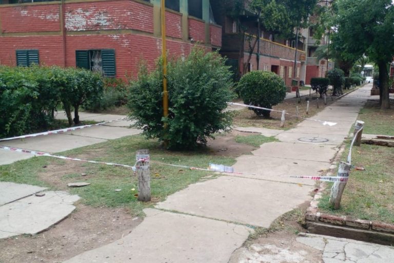 Anoche, un perro murió electrocutado en el barrio Malvinas