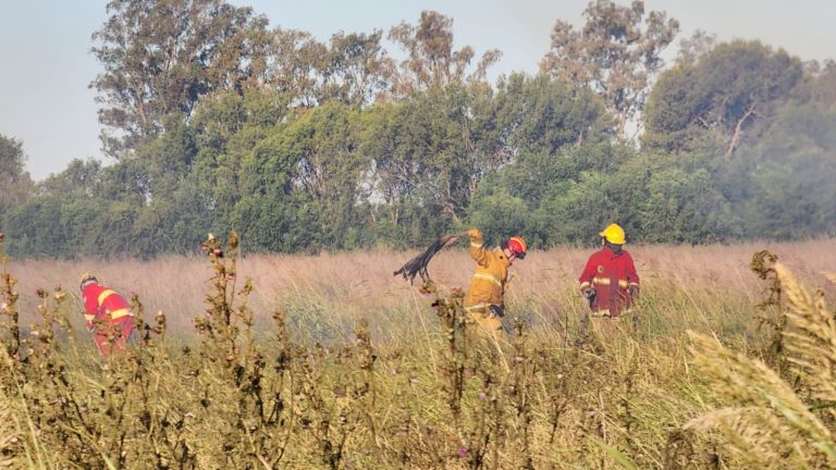 Bomberos sofocaron 3 focos de incendio sobre la Ruta Provincial 1