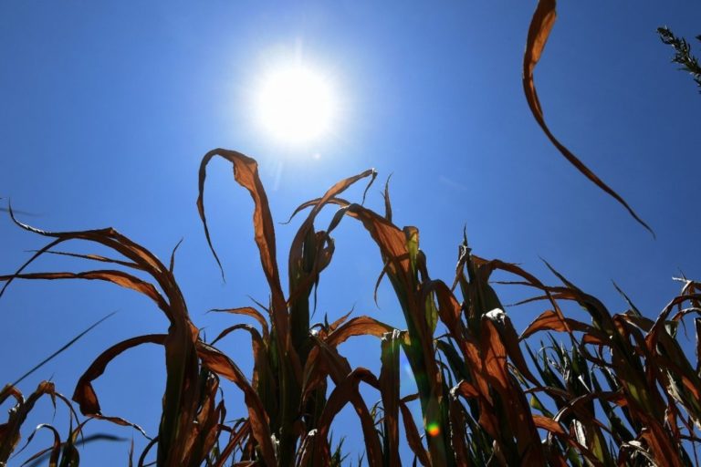 Verano caluroso en La Pampa: pronostican temperaturas por encima del promedio en el centro del país