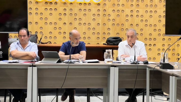 “Hemos calculado un monto aproximado de $1.400 millones”, afirmó Gabba al defender el Presupuesto 2023 de la Secretaría de Gestión y Planificación Urbana