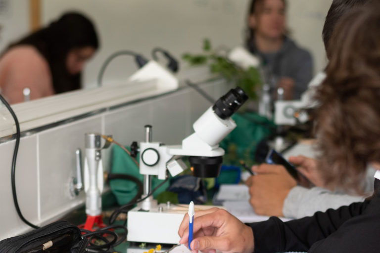 Inscripciones abiertas para la segunda cohorte de la Tecnicatura en Gestión y Tecnología de Alimentos