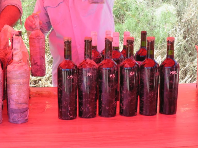 Tercera cava subacuática del país en el Río Colorado: exitosa primera experiencia con el vino “Arumcó”