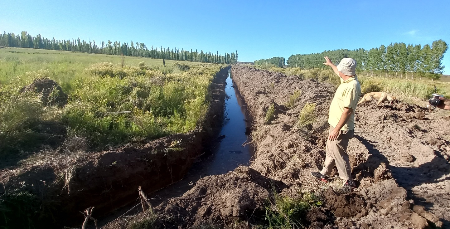 25 de Mayo: reactivaron 16 hectáreas abandonadas mediante el sistema de chacra mixta en zona bajo riego