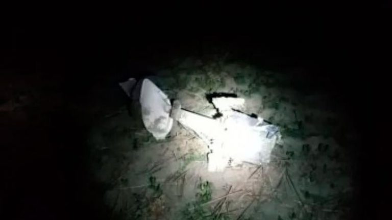 Chaco: cinco ladrones robaron un avión, se estrellaron y murieron incinerados