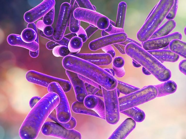 El Ministerio de Salud confirmó que en La Pampa no se detectaron casos de intoxicación por ingesta de carne