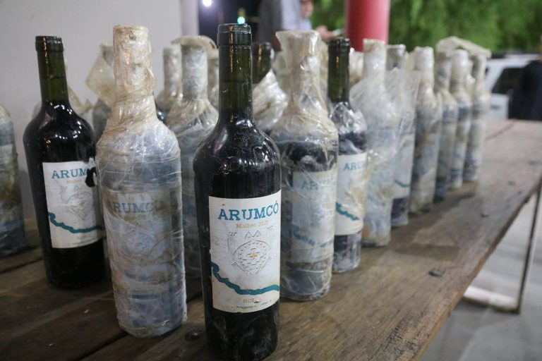 Subastaron los vinos que añejaron en la cava subacuática del Río Colorado