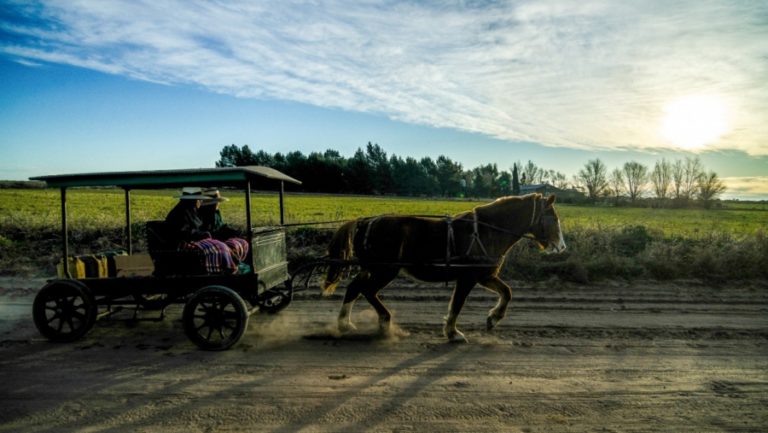 Enero 2023: La Pampa turística en pleno auge, destacan La Adela y Winifreda con récords de visitas