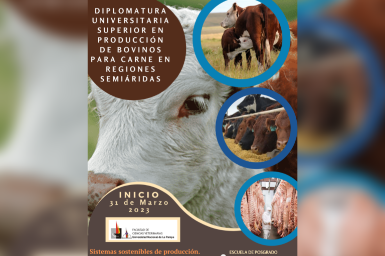 La Facultad de Veterinarias propone una diplomatura en Producción de bovinos en regiones semiáridas