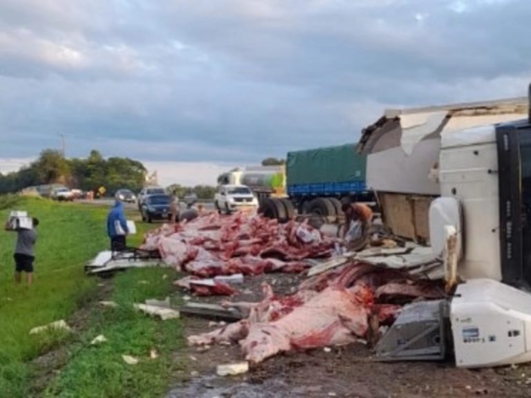 Volcó un camión frigorífico que iba a Jujuy y saquearon 11 mil kilos de carne