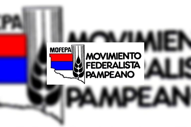 “Está demostrado que las PASO provinciales no sirven”, afirmaron desde el MOFEPA