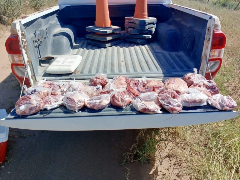 Seguridad Rural realizó 13 intervenciones durante la última semana en La Pampa