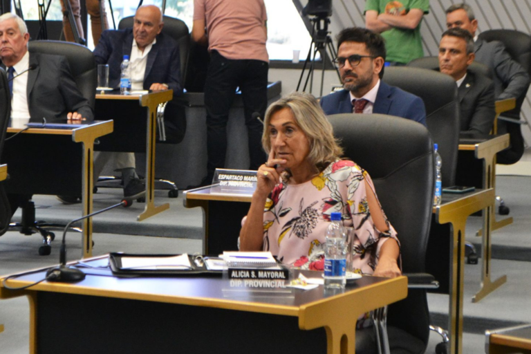 Mayoral confirmó que ratificarán el pedido de “Jury de Enjuiciamiento” por mal desempeño para la jueza Pérez Ballester