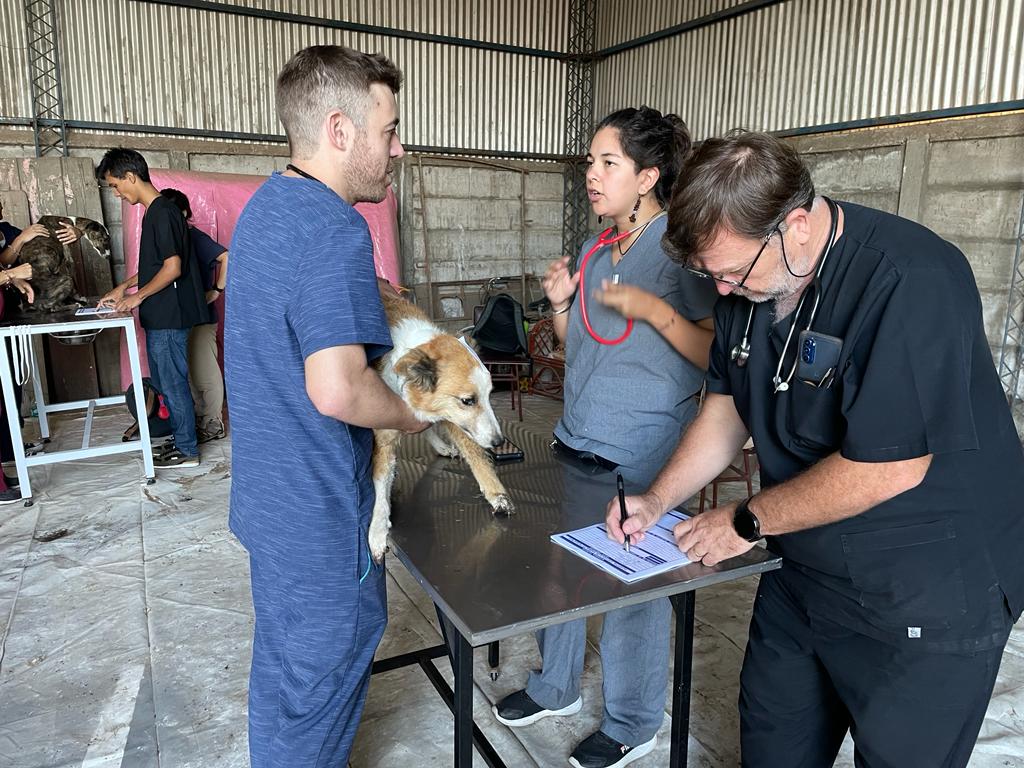 Profesionales y estudiantes de la Facultad de Ciencias Veterinarias brindan asistencia técnica a refugio canino en Villa Mirasol