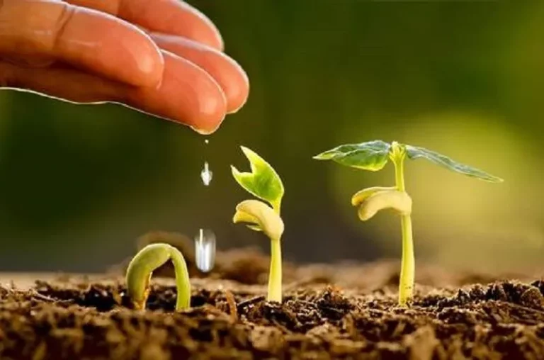 Medano acogerá el innovador taller ‘Producir en el periurbano’ para impulsar cultivos extensivos en La Pampa