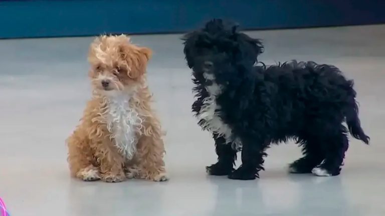 Caramelo y Mora se reencontraron tras la final de Gran Hermano