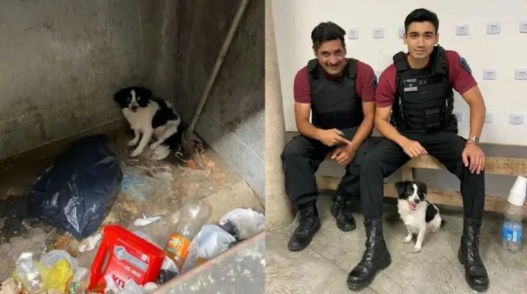 El policía que adoptó a la perrita que una mujer tiró en un contenedor de basura: “Vamos a darle una buena vida”