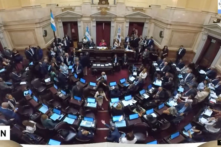 La oposición abandonó el Senado en medio de gritos: no se tratará la Ley Lucio y la de Alcohol Cero