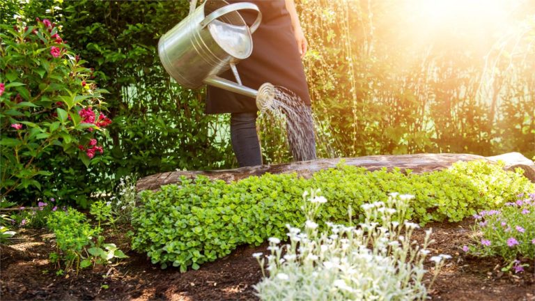 Están abiertas las inscripciones para un taller de mantenimiento de Parques y Jardines