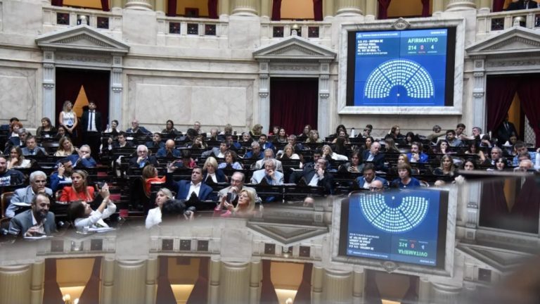 Senado debate la Ley Lucio y la facilitación de la renovación del Certificado Único de Discapacidad